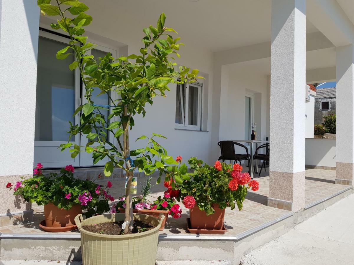 Apartments Tri Mora Ражанац Екстер'єр фото